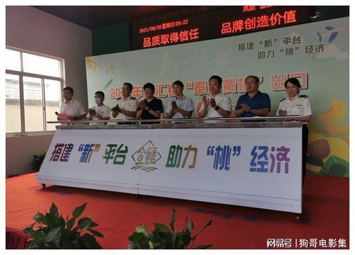 上海奉賢黃桃香飄香港，技術(shù)賦能開啟高品質(zhì)農(nóng)產(chǎn)品出口新篇章